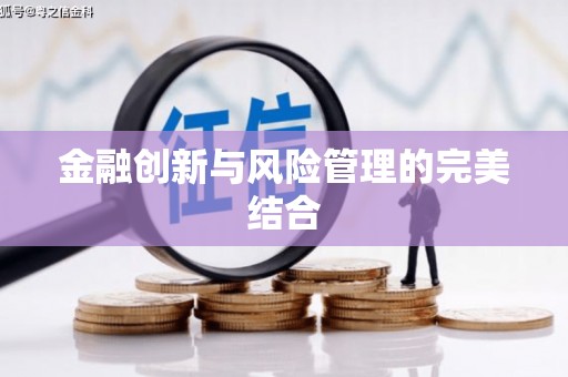 板芙金融创新与风险管理的完美结合
