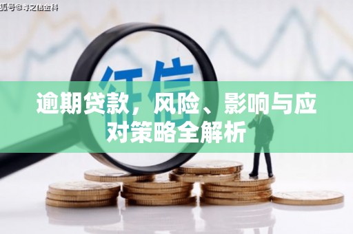 板芙逾期贷款，风险、影响与应对策略全解析
