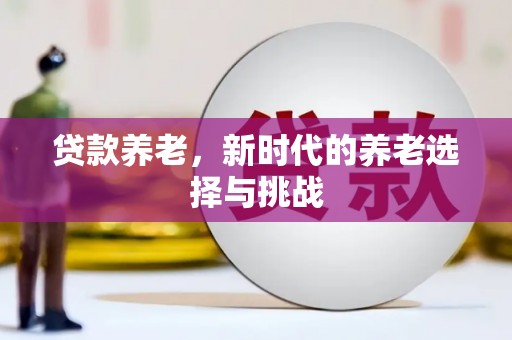 板芙贷款养老，新时代的养老选择与挑战