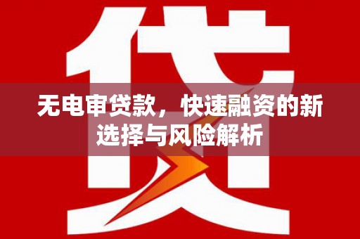 板芙无电审贷款，快速融资的新选择与风险解析