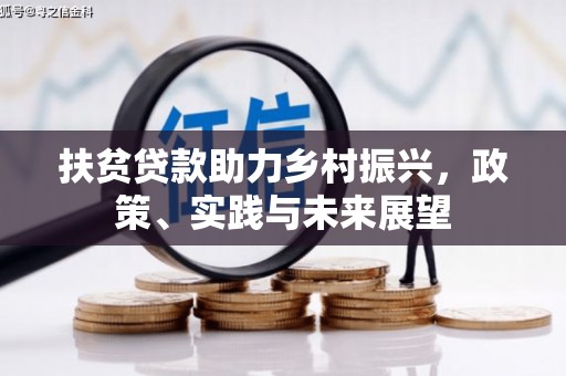 板芙扶贫贷款助力乡村振兴，政策、实践与未来展望