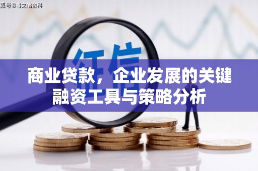 板芙商业贷款，企业发展的关键融资工具与策略分析