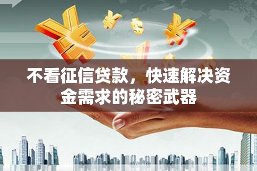 板芙不看征信贷款，快速解决资金需求的秘密武器