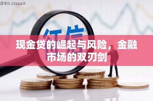 板芙现金贷的崛起与风险，金融市场的双刃剑