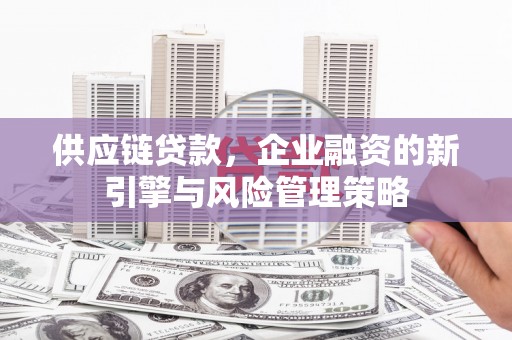 板芙供应链贷款，企业融资的新引擎与风险管理策略