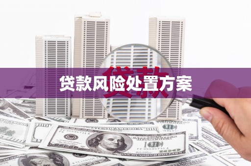 板芙贷款风险处置方案