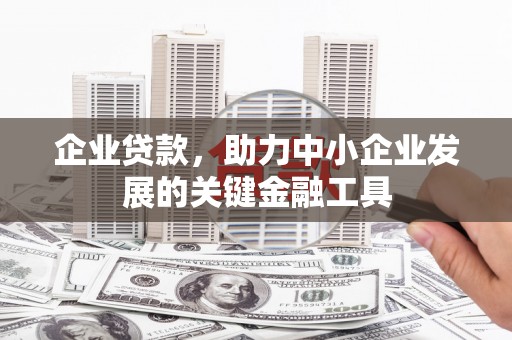 板芙企业贷款，助力中小企业发展的关键金融工具