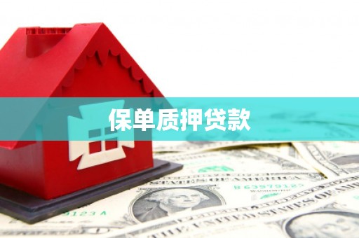板芙保单质押贷款