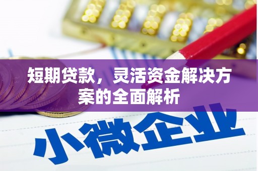 板芙短期贷款，灵活资金解决方案的全面解析