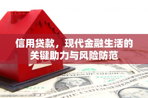 板芙信用贷款，现代金融生活的关键助力与风险防范
