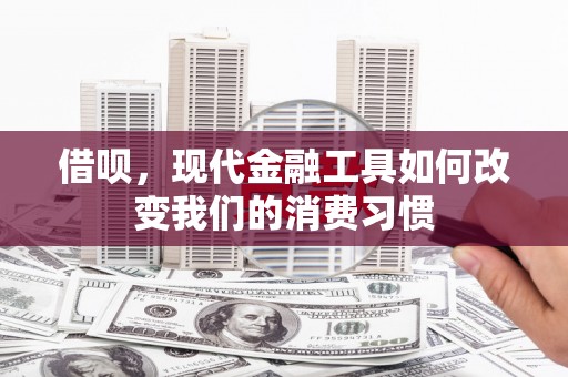 板芙借呗，现代金融工具如何改变我们的消费习惯