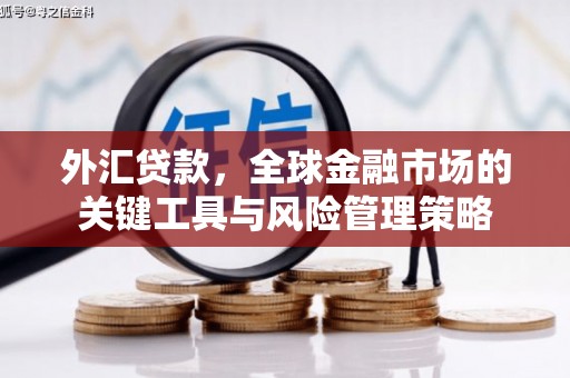 板芙外汇贷款，全球金融市场的关键工具与风险管理策略