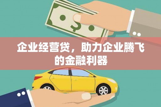 板芙企业经营贷，助力企业腾飞的金融利器