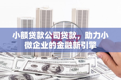 板芙小额贷款公司贷款，助力小微企业的金融新引擎
