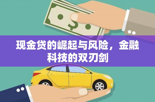 板芙现金贷的崛起与风险，金融科技的双刃剑
