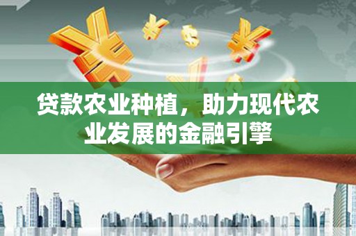 板芙贷款农业种植，助力现代农业发展的金融引擎