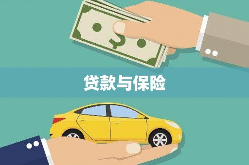 板芙贷款与保险