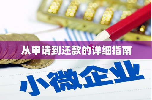 板芙从申请到还款的详细指南