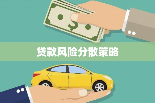 板芙贷款风险分散策略
