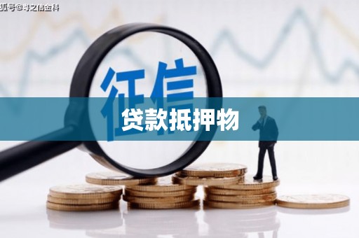 板芙贷款抵押物