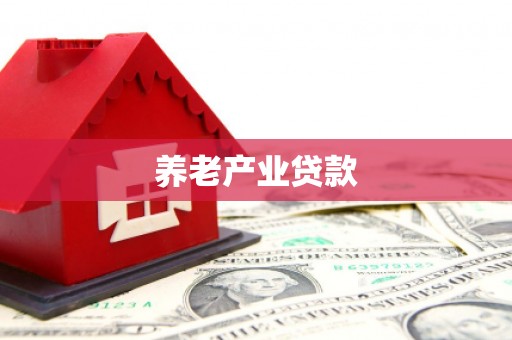 板芙养老产业贷款