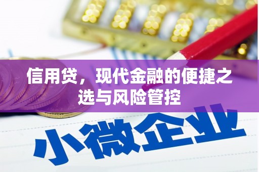 板芙信用贷，现代金融的便捷之选与风险管控