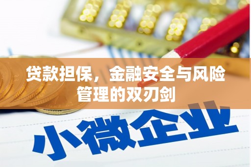 板芙贷款担保，金融安全与风险管理的双刃剑