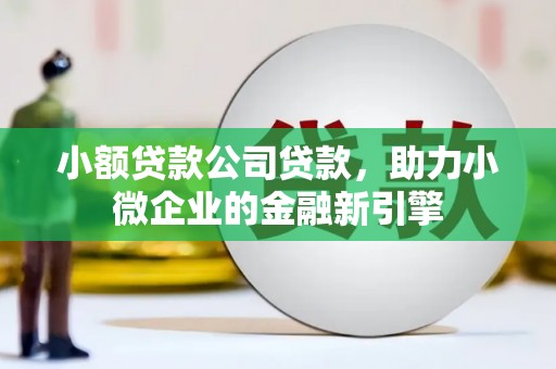 板芙小额贷款公司贷款，助力小微企业的金融新引擎