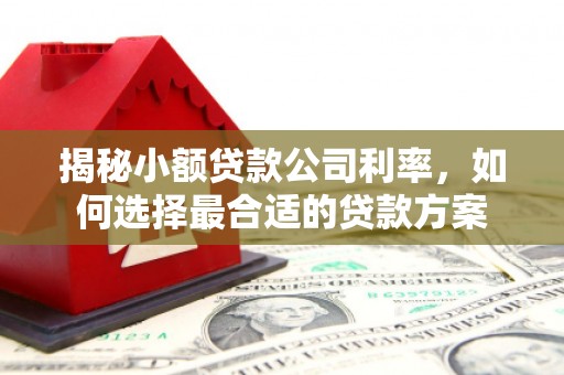 板芙揭秘小额贷款公司利率，如何选择最合适的贷款方案