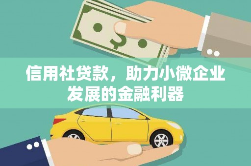 板芙信用社贷款，助力小微企业发展的金融利器