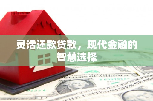 板芙灵活还款贷款，现代金融的智慧选择