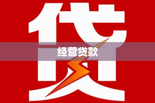 板芙经营贷款