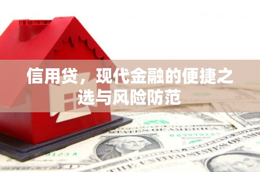 板芙信用贷，现代金融的便捷之选与风险防范
