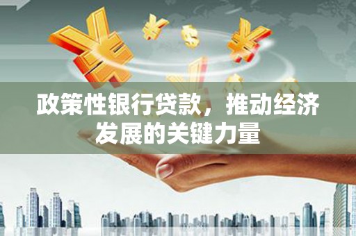 板芙政策性银行贷款，推动经济发展的关键力量