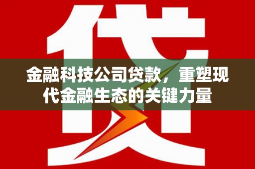 板芙金融科技公司贷款，重塑现代金融生态的关键力量