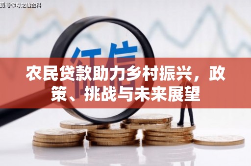 板芙农民贷款助力乡村振兴，政策、挑战与未来展望