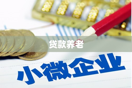 板芙贷款养老