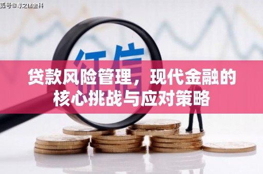 板芙贷款风险管理，现代金融的核心挑战与应对策略