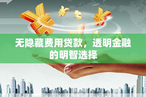 板芙无隐藏费用贷款，透明金融的明智选择