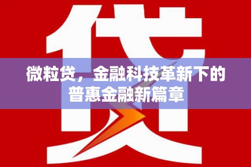 板芙微粒贷，金融科技革新下的普惠金融新篇章