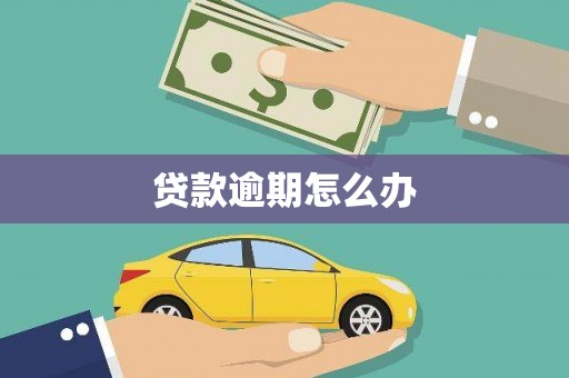 板芙贷款逾期怎么办