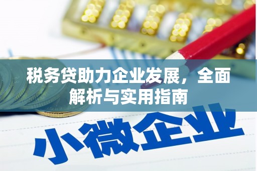板芙税务贷助力企业发展，全面解析与实用指南
