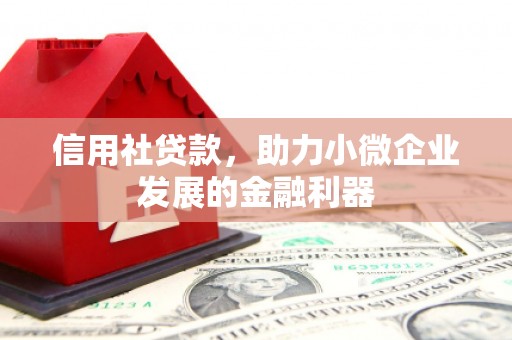 板芙信用社贷款，助力小微企业发展的金融利器