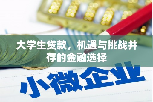 板芙大学生贷款，机遇与挑战并存的金融选择