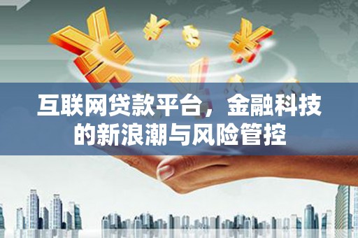 板芙互联网贷款平台，金融科技的新浪潮与风险管控