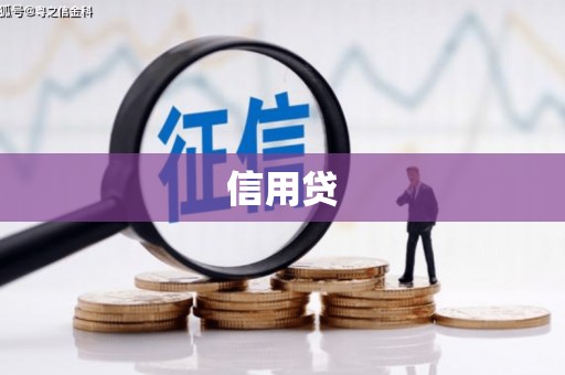 板芙信用贷