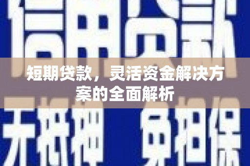 板芙短期贷款，灵活资金解决方案的全面解析