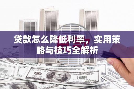 板芙贷款怎么降低利率，实用策略与技巧全解析