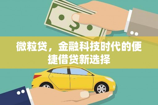 板芙微粒贷，金融科技时代的便捷借贷新选择