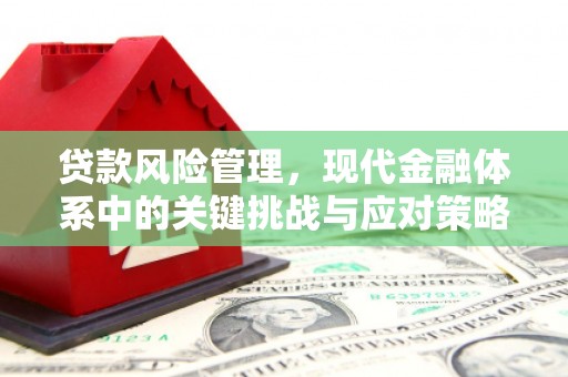板芙贷款风险管理，现代金融体系中的关键挑战与应对策略